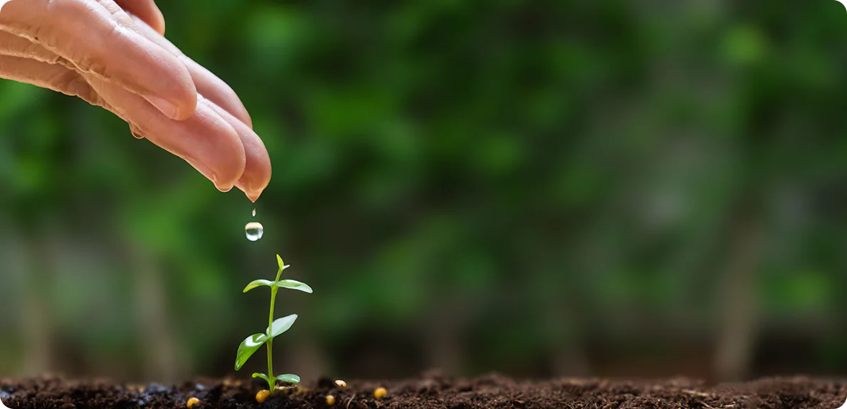 aspirenaturalhealth-our-process-slider01