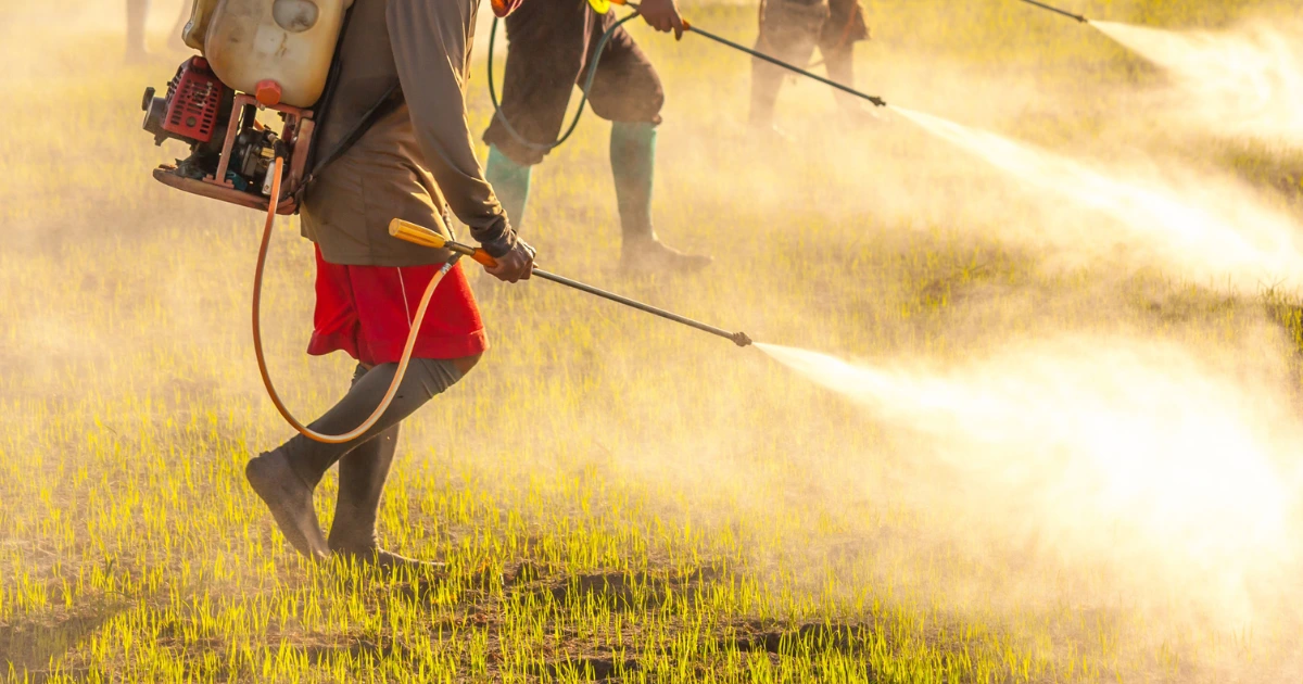 Many pesticides act as hormone disruptors in the body