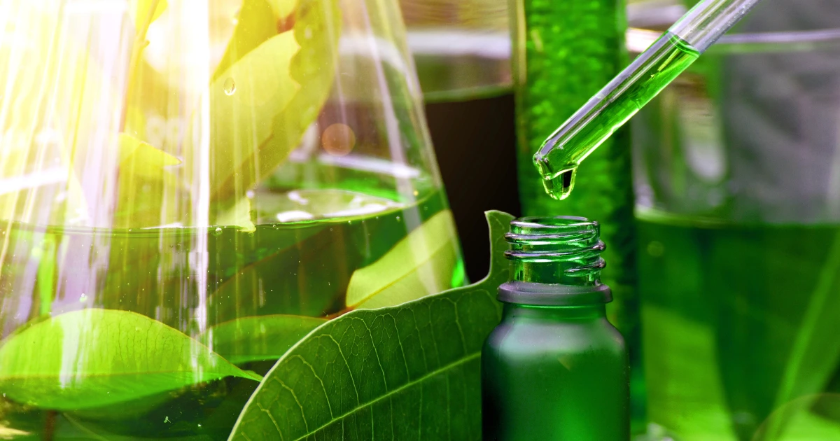 Naturopathic H. pylori care: gut-healing herbal extracts