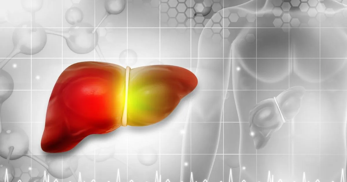 Aspire Natural Health Naturopath Food Intolerance Testing_ Ultimate Guide image