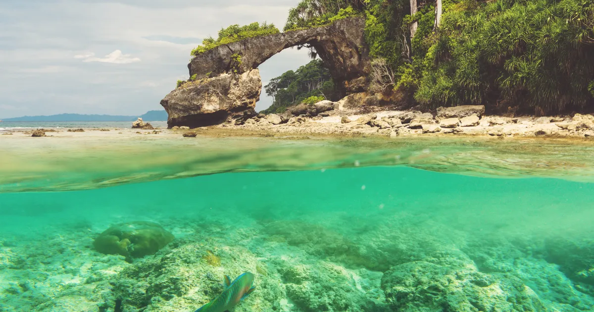 Exploring your options and understanding government guidelines is key to knowing if naturopathic services can be claimed on your Canadian income tax return