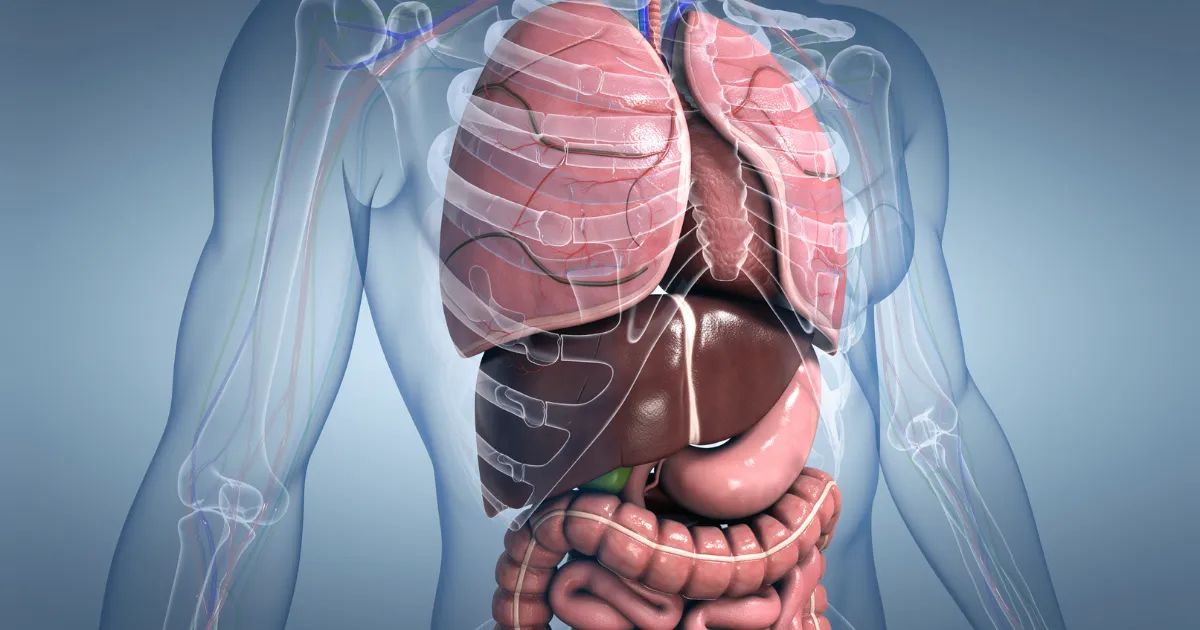 Aspire Natural Health Liver Detox Naturopathy Featured Image