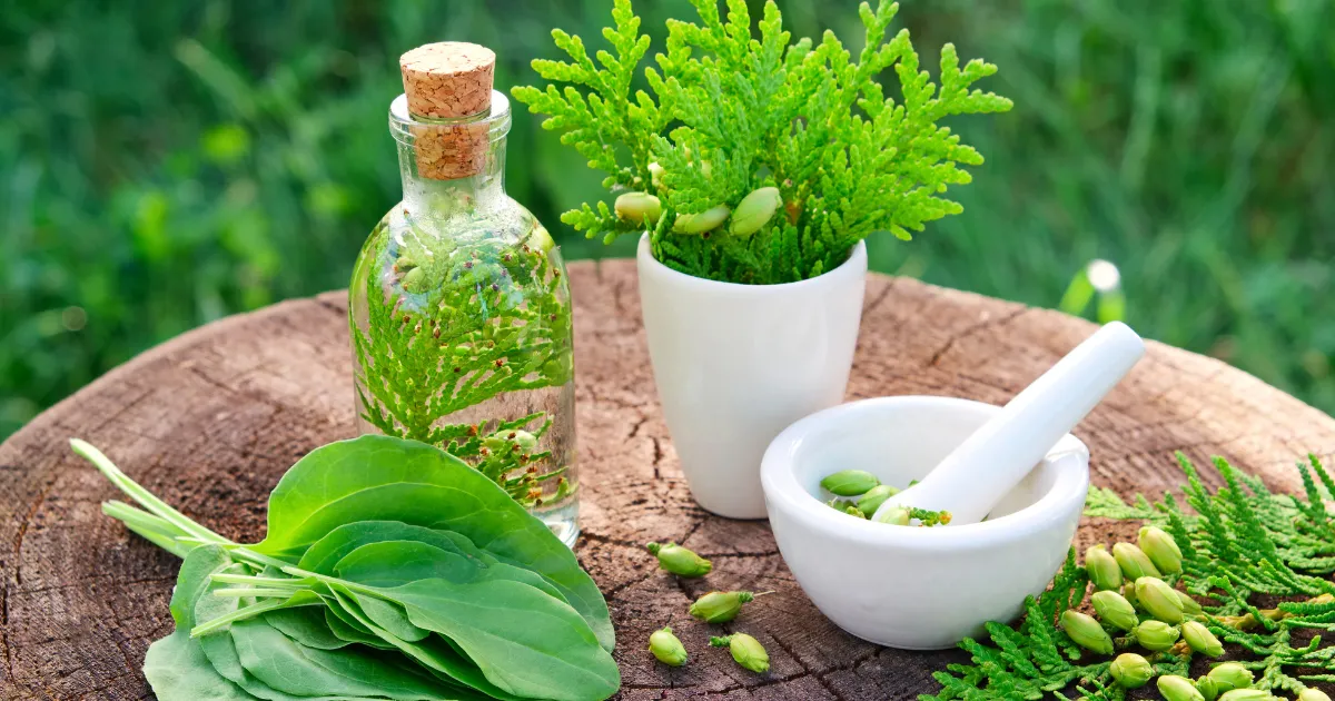 Aspire Natural Health Principles of Naturopathy Featured Image