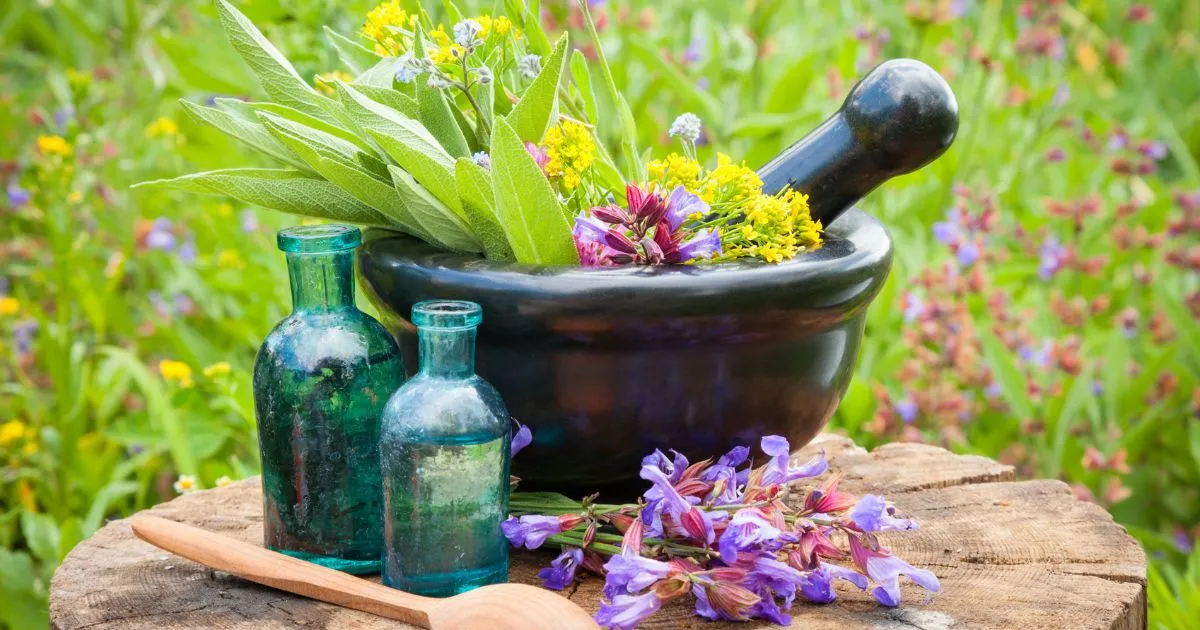 The evolution of naturopathy from ancient healing traditions to modern holistic care.