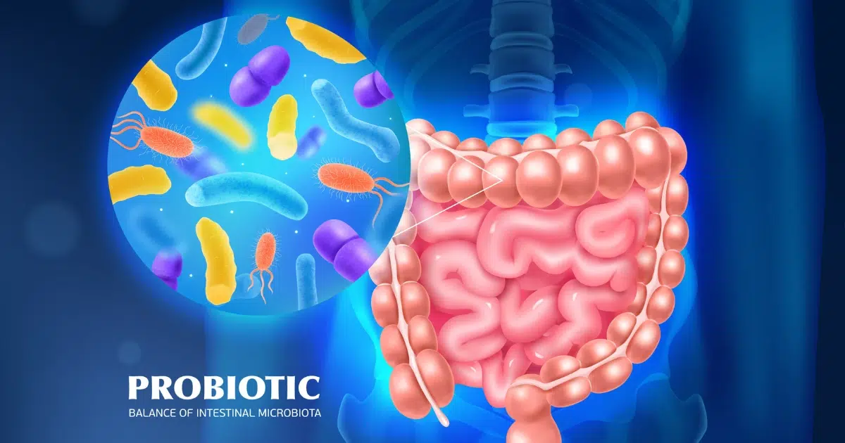 Naturopathic medicine offers a range of gentle, evidence informed therapies for digestive health, including nutrition therapy, lifestyle medicine, botanical medicine, supplementation, acupuncture and homeopathy, which can both reduce symptoms and support the restoration of healthy digestive function over time