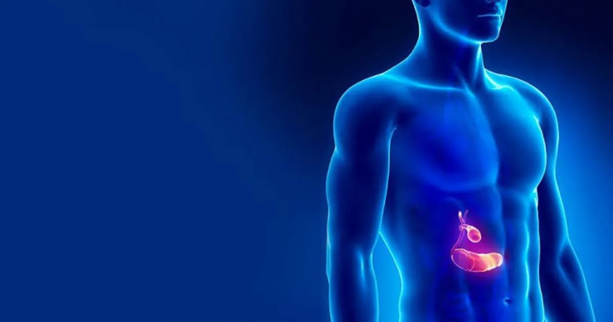 gall bladder symptoms, gallbladder pain