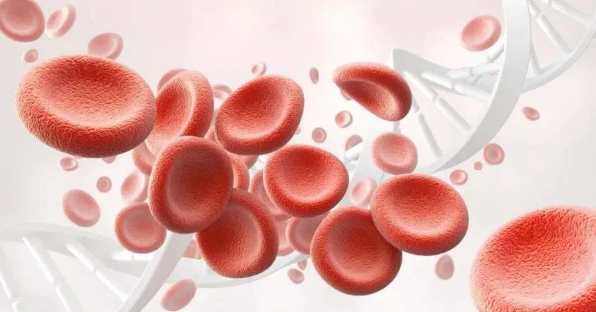 red blood cell count